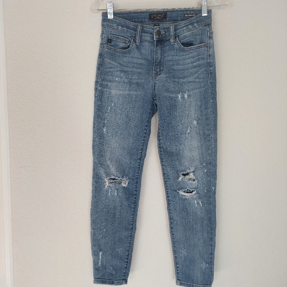 Judy Blue Relaxed Fit Distressed Custom Embroidered Mushroom Jeans Size 5/27 - Picture 1 of 10